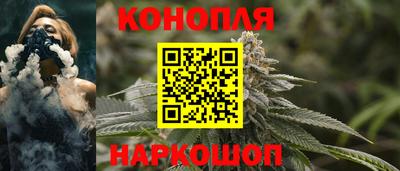 ПСИЛОЦИБИНОВЫЕ ГРИБЫ Камышлов
