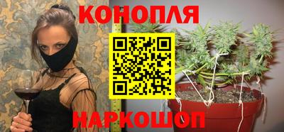 ПСИЛОЦИБИНОВЫЕ ГРИБЫ Камышлов