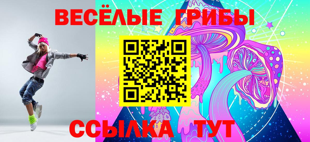 Галлюциногенные грибы прущие грибы  Вход с VPN  Кинешма 