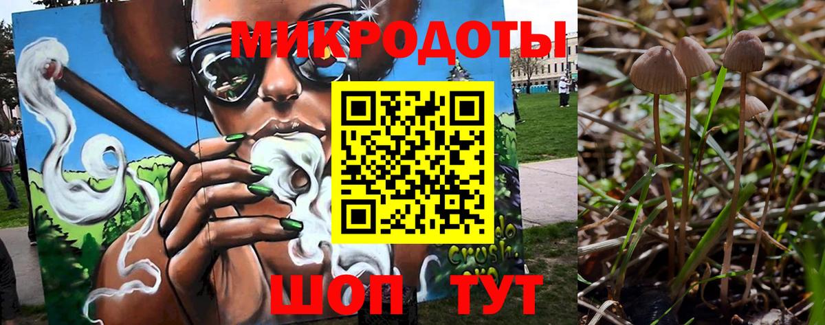 Псилоцибиновые грибы Psilocybine cubensis Кинешма